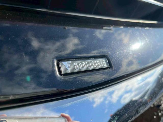 アルファードハイブリッド エグゼクティブラウンジＳ　４ＷＤ　バックカメラ　サイドカメラ　ナビ　ＴＶ　クリアランスソナー　オートクルーズコントロール　レーンアシスト　衝突被害軽減システム　両側電動スライドドア　オートマチックハイビーム　オートライト（11枚目）