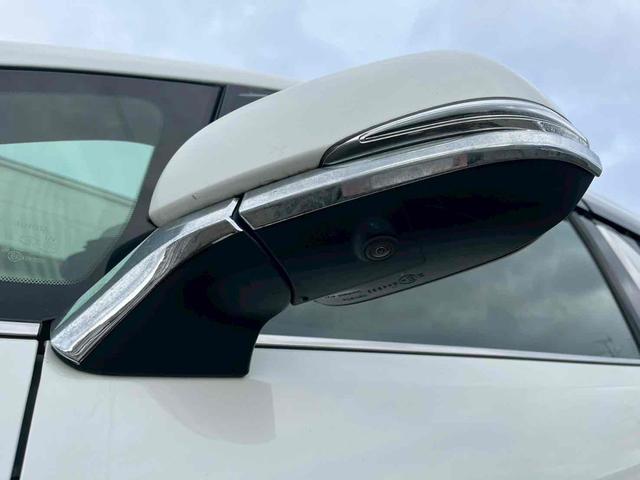 アルファードハイブリッド エグゼクティブラウンジＳ　４ＷＤ　バックカメラ　サイドカメラ　ナビ　ＴＶ　クリアランスソナー　オートクルーズコントロール　レーンアシスト　衝突被害軽減システム　両側電動スライドドア　オートマチックハイビーム　オートライト（14枚目）