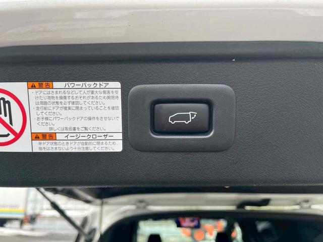 アルファードハイブリッド エグゼクティブラウンジＳ　４ＷＤ　バックカメラ　サイドカメラ　ナビ　ＴＶ　クリアランスソナー　オートクルーズコントロール　レーンアシスト　衝突被害軽減システム　両側電動スライドドア　オートマチックハイビーム　オートライト（70枚目）