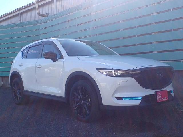 CX-5 25S ブラックトーンエディション 4WD/BOSE/10.25インチマツダコネクトナビ/フルセグTV/360カメラ/パワーバックドア/ヘッドアップディスプレイ/ハーフレザーシート/パワーシート/シートヒーター/ステアヒーター/ETC(19枚目)
