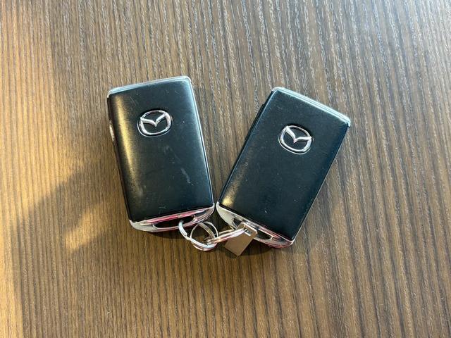 ＭＡＺＤＡ３ファストバック ＸＤプロアクティブ　ツーリングセレクション　ディーゼルターボ／４ＷＤ／全方位カメラ／ＥＴＣ／フルセグＴＶ付純正ナビ／シートヒーター／パワーシート／スマートキー／プッシュスタート／パドルシフト／ＭＴモード付シフトレバー／オートＰブレーキ（52枚目）
