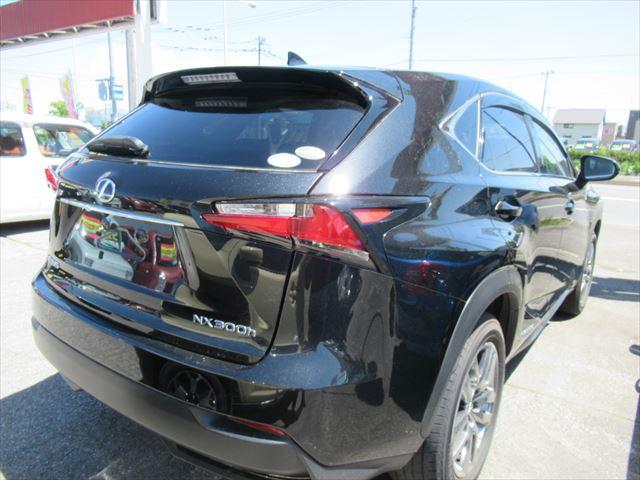 NX300h Iパッケージ 4WD ETC ナビバックカメラ(4枚目)