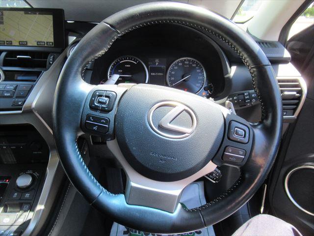 NX300h Iパッケージ 4WD ETC ナビバックカメラ(18枚目)