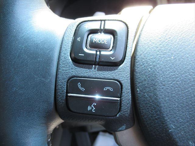 NX300h Iパッケージ 4WD ETC ナビバックカメラ(20枚目)