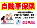 Ｌ　ＳＡ　ナビゲーション　バックカメラ（65枚目）