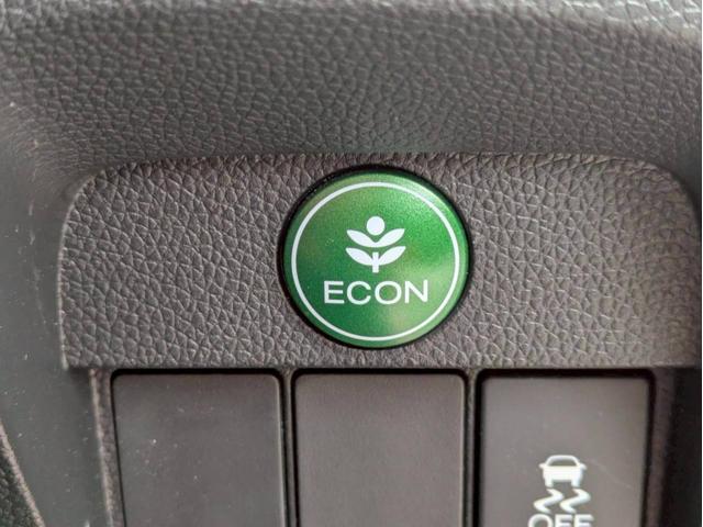 Ｎ－ＯＮＥ プレミアム　ツアラー・Ｌパッケージ　４ＷＤ　メモリーナビ　ワンセグＴＶ　リアカメラ　スマートキー　ＨＩＤヘッドライト　クルコン　純正１５インチアルミ　ＥＴＣ（31枚目）