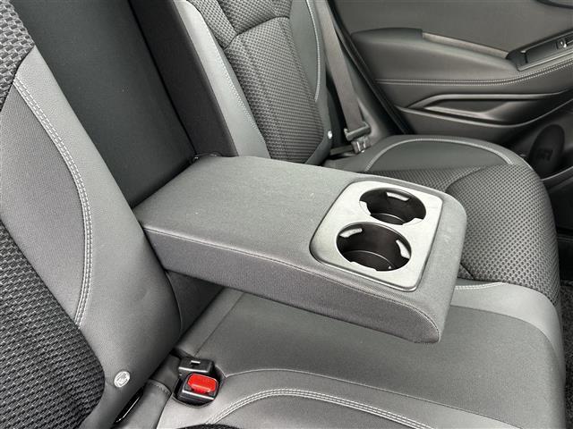 フォレスター プレミアム　ワンオーナー　純正８インチナビ　フルセグＴＶ　左サイド、バックカメラ　ドライブレコーダー　ハーフレザーシート　前席パワーシート　全席シートヒーター　ステアリングヒーター　クルーズコントロール（24枚目）