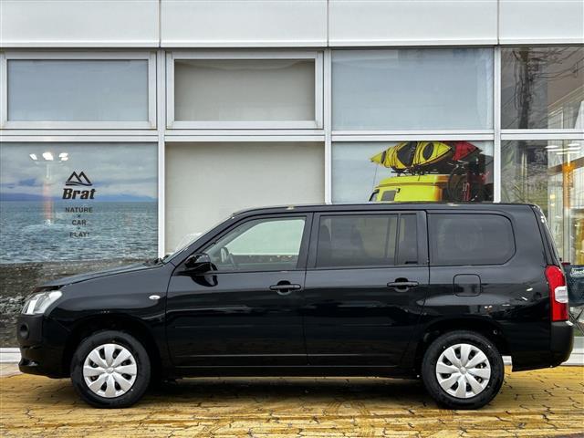 プロボックス F オートマチックハイビーム オートライト 100V電源 フォグランプ バックカメラ フロアマット ETC(4枚目)