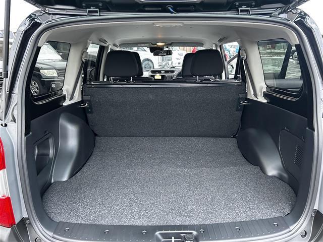 プロボックス F オートマチックハイビーム オートライト 100V電源 フォグランプ バックカメラ フロアマット ETC(30枚目)