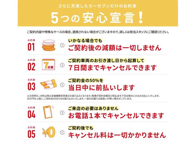 シエンタ ハイブリッドＺ　４ＷＤ　衝突被害軽減ブレーキ　寒冷地仕様　オートハイビーム　横滑り防止装置　ブラインドスポットモニタ　パノラミックビューモニター　クルコン　シートヒーター　ステアリングヒーター　パーキングアシスト（44枚目）