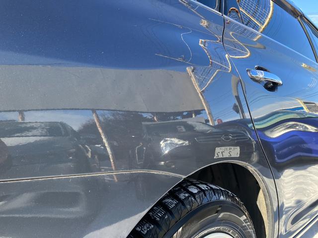 �����̃T�r�����Ȃ��A�O���ɑ傫�ȃL�Y�≚�݂Ȃǂ������܂���B�܂������͋։��ԂŌ��ȏL���������L���C�ȏ�Ԃł��B