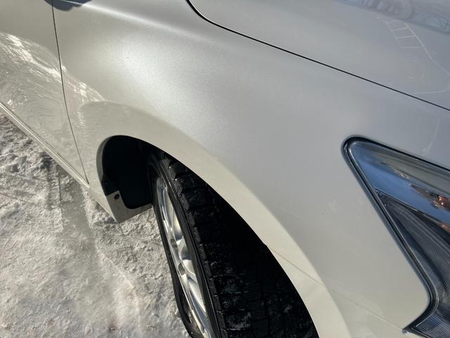 �O���ɑ傫�ȃL�Y�≚�݂Ȃǖ����A�܂������͋։��ԂŌ��ȏL���������L���C�ȏ�Ԃł��B