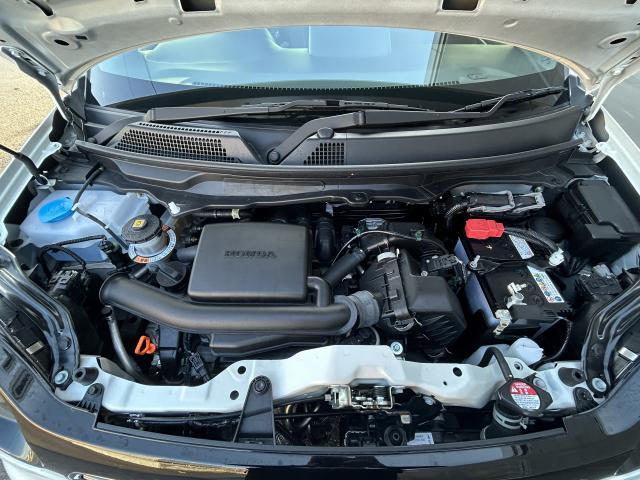 Ｎ－ＯＮＥ プレミアム（11枚目）