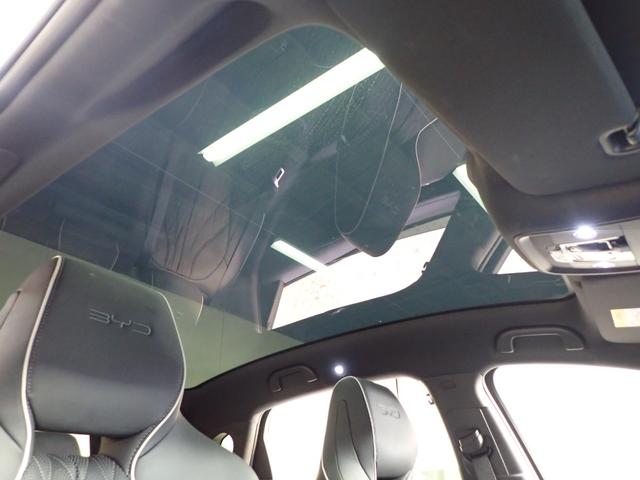 シール ベースグレード　パノラミックガラスルーフ（21枚目）