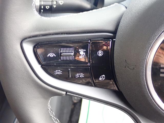 シール ベースグレード　パノラミックガラスルーフ（38枚目）