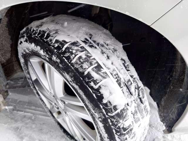 �ă^�C���̍a�͂��̂悤�ɂȂ��Ă���܂��B