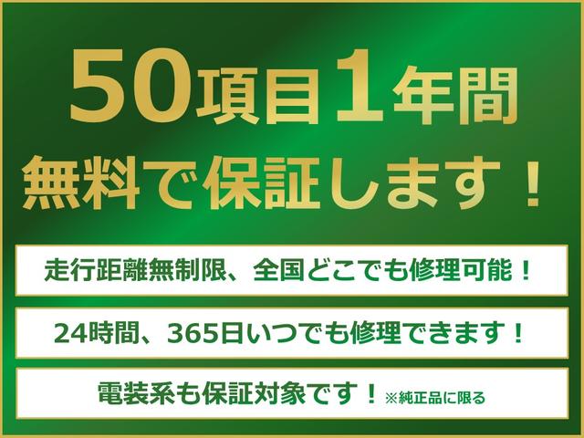 エルグランド ライダー　黒本革シート　４ＷＤ♪２５００ｃｃ♪寒冷地仕様♪黒本革Ｓヒーター♪純正ＨＤＤ♪ＴＶ♪ＢＴ♪後席Ｍ♪両側パワスラ♪電動Ｒゲート♪１年保証♪（39枚目）