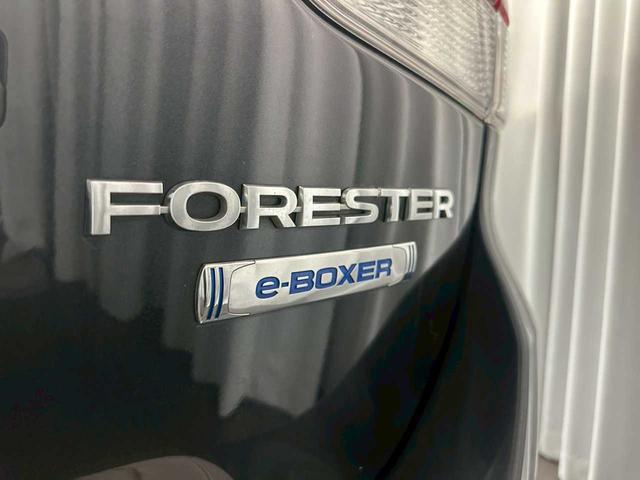 フォレスター アドバンス　４ＷＤ　バックカメラ　ＥＴＣ　パワーバックドア　プッシュスタート　純正アルミホイール　フォグランプ　ナビ　ＵＳＢ　ステコン　クルーズコントロール　パワーシート　パドルシフト（17枚目）