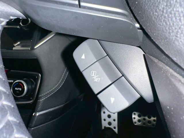 フォレスター アドバンス　４ＷＤ　バックカメラ　ＥＴＣ　パワーバックドア　プッシュスタート　純正アルミホイール　フォグランプ　ナビ　ＵＳＢ　ステコン　クルーズコントロール　パワーシート　パドルシフト（48枚目）