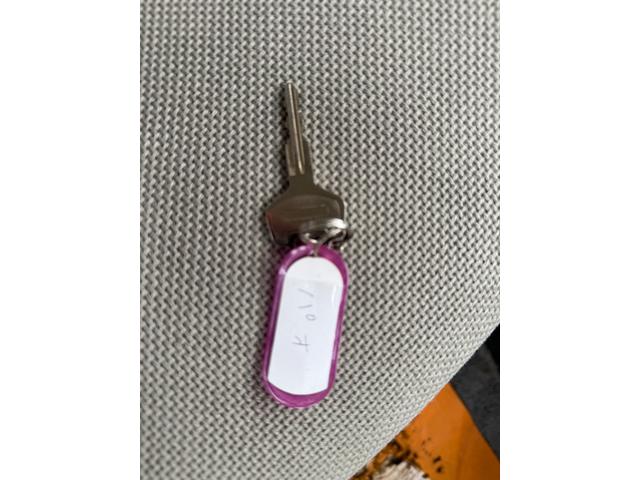 パオ ベースグレード(16枚目)