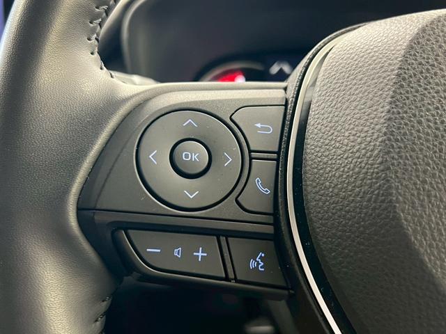 ＲＡＶ４ アドベンチャー　オフロードパッケージ　４ＷＤ　純正１０．５インチナビ　アラウンドビューモニター　電動レザーシート　ＴＲＤフロントバンパーガーニッシュ　Ｂｕｌｅｔｏｏｔｈ　Ｄインナーミラー　衝突被害軽減ブレーキ　前後ドライブレコーダー（25枚目）