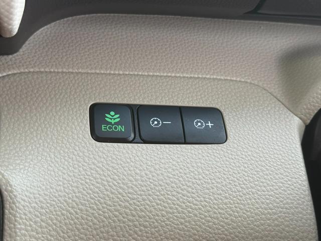 N-BOX G・EXホンダセンシング プッシュスタート・エンジンスターター・純正ナビ・フルセグTV・バックカメラ・両側パワースライドドア・ブレーキサポート・クルーズコントロール・レーンキープアシスト・ビルドインETC・横滑り防止装置(31枚目)