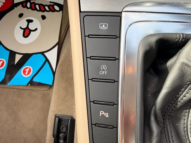 パサート ＴＳＩハイライン　レザーシート　アイドリングストップ　オートエアコン　クルコン　シートヒーター　バックカメラ　パワーシート　禁煙（36枚目）