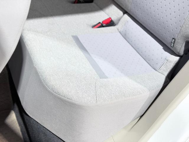 パッソ Ｘ　防錆塗装４ＷＤＴＶナビＢカメエンスタ（41枚目）