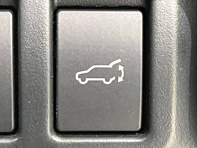 フォレスター アドバンス　サンルーフ　アイサイト　禁煙車　純正ナビ　レーダークルーズ　バックカメラ　ＥＴＣ　Ｂｌｕｅｔｏｏｔｈ　フルセグ　スマートキー　全席シートヒーター　メモリー付きパワーシート　デジタルインナーミラー（31枚目）