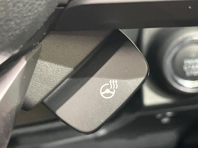 フォレスター アドバンス　サンルーフ　アイサイト　禁煙車　純正ナビ　レーダークルーズ　バックカメラ　ＥＴＣ　Ｂｌｕｅｔｏｏｔｈ　フルセグ　スマートキー　全席シートヒーター　メモリー付きパワーシート　デジタルインナーミラー（38枚目）