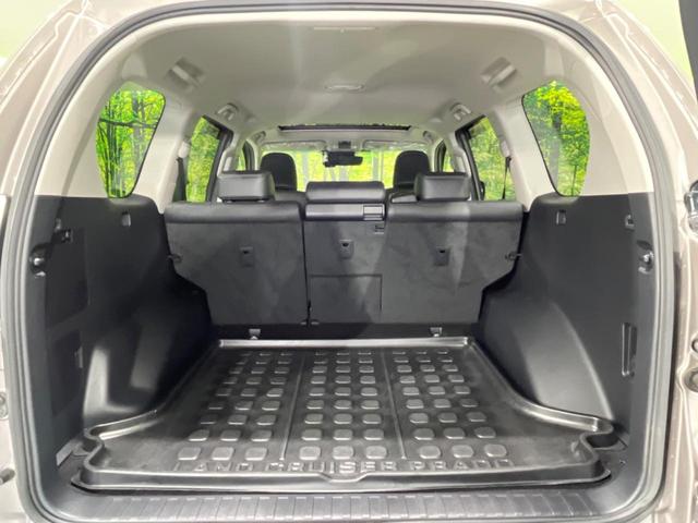 ランドクルーザープラド TX Lパッケージ 後期型 サンルーフ ディーゼル BIG-Xナビ 禁煙車 レーダークルーズ 寒冷地仕様 バックカメラ ETC Bluetooth フルセグ ドラレコ シートエアコン パワーシート LEDヘッドライト(11枚目)