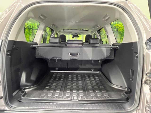 ランドクルーザープラド TX Lパッケージ 後期型 サンルーフ ディーゼル BIG-Xナビ 禁煙車 レーダークルーズ 寒冷地仕様 バックカメラ ETC Bluetooth フルセグ ドラレコ シートエアコン パワーシート LEDヘッドライト(30枚目)