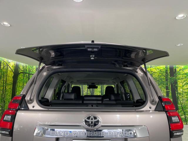 ランドクルーザープラド TX Lパッケージ 後期型 サンルーフ ディーゼル BIG-Xナビ 禁煙車 レーダークルーズ 寒冷地仕様 バックカメラ ETC Bluetooth フルセグ ドラレコ シートエアコン パワーシート LEDヘッドライト(58枚目)