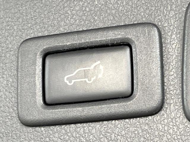 フォレスター 2.0i-S アイサイト アイサイト 禁煙車 純正ナビ レーダークルーズ ETC Bluetooth スマートキー パワーバックドア パワーシート HIDヘッドライト シートヒーター スマートキー パドルシフト オートエアコン(29枚目)