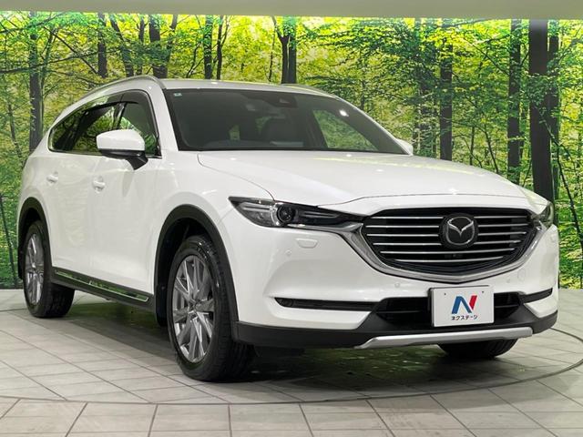 ＣＸ－８ ＸＤプロアクティブ　Ｓパッケージ　フリップダウンモニター　全周囲カメラ　ターボ　衝突被害軽減システム　ディーゼル　レーダークルーズ　禁煙車　電動リアゲート　レザーシート　前席シートエアコン　ドラレコ　コーナーセンサー　スマートキー（17枚目）