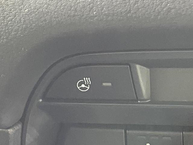 ＣＸ－８ ＸＤプロアクティブ　Ｓパッケージ　フリップダウンモニター　全周囲カメラ　ターボ　衝突被害軽減システム　ディーゼル　レーダークルーズ　禁煙車　電動リアゲート　レザーシート　前席シートエアコン　ドラレコ　コーナーセンサー　スマートキー（34枚目）