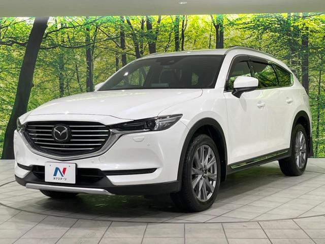 ＣＸ－８ ＸＤプロアクティブ　Ｓパッケージ　フリップダウンモニター　全周囲カメラ　ターボ　衝突被害軽減システム　ディーゼル　レーダークルーズ　禁煙車　電動リアゲート　レザーシート　前席シートエアコン　ドラレコ　コーナーセンサー　スマートキー（66枚目）