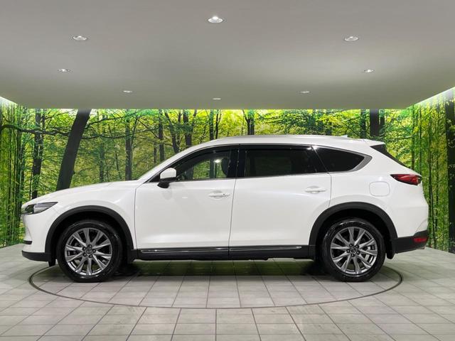 ＣＸ－８ ＸＤプロアクティブ　Ｓパッケージ　フリップダウンモニター　全周囲カメラ　ターボ　衝突被害軽減システム　ディーゼル　レーダークルーズ　禁煙車　電動リアゲート　レザーシート　前席シートエアコン　ドラレコ　コーナーセンサー　スマートキー（68枚目）