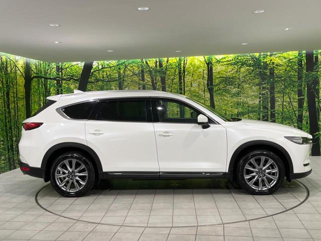 ＣＸ－８ ＸＤプロアクティブ　Ｓパッケージ　フリップダウンモニター　全周囲カメラ　ターボ　衝突被害軽減システム　ディーゼル　レーダークルーズ　禁煙車　電動リアゲート　レザーシート　前席シートエアコン　ドラレコ　コーナーセンサー　スマートキー（69枚目）