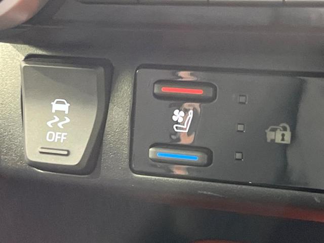 RAV4 アドベンチャー セーフティセンス 禁煙車 純正10.5インチナビ レーダクルーズ 寒冷地仕様 バックカメラ ETC Bluetooth ドライブレコーダー シートエアコン LEDヘッド ブラインドスポットモニター(30枚目)