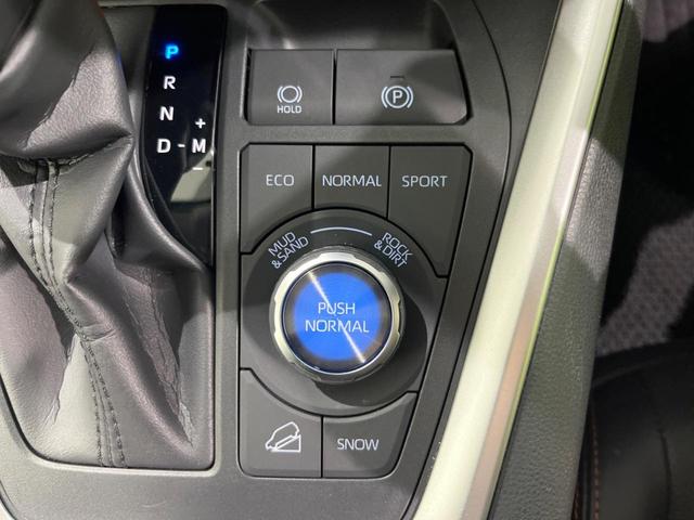 RAV4 アドベンチャー セーフティセンス 禁煙車 純正10.5インチナビ レーダクルーズ 寒冷地仕様 バックカメラ ETC Bluetooth ドライブレコーダー シートエアコン LEDヘッド ブラインドスポットモニター(33枚目)