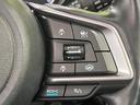 フォレスター アドバンス　サンルーフ　アイサイト　禁煙車　純正ナビ　レーダークルーズ　バックカメラ　ＥＴＣ　Ｂｌｕｅｔｏｏｔｈ　フルセグ　スマートキー　全席シートヒーター　メモリー付きパワーシート　デジタルインナーミラー（7枚目）