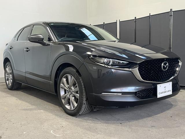 ＣＸ－３０ ２０Ｓ　プロアクティブ　ツーリングセレクション　４ＷＤ／ナビ／全方位カメラ／ＴＶ／衝突軽減／寒冷地仕様／パワーバックドア／ＨＵＤ／ドライバーモニタリング／クルージングトラフィックサポート／ＬＥＤヘッドライト／リアフォグ／パワーシート／シートヒーター（5枚目）