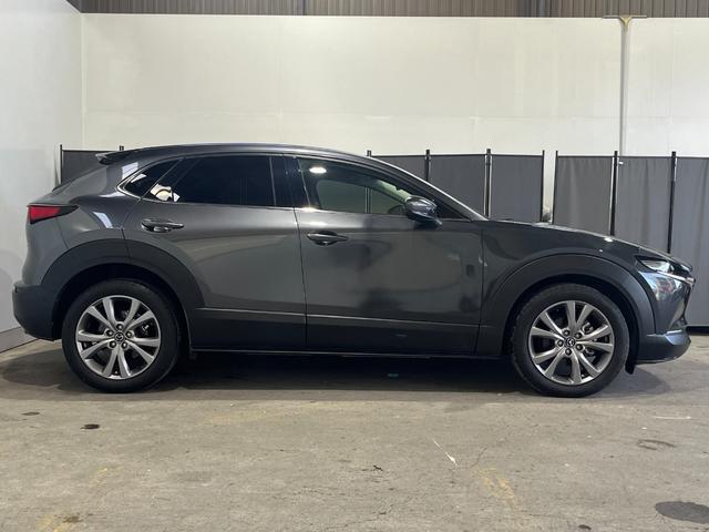 ＣＸ－３０ ２０Ｓ　プロアクティブ　ツーリングセレクション　４ＷＤ／ナビ／全方位カメラ／ＴＶ／衝突軽減／寒冷地仕様／パワーバックドア／ＨＵＤ／ドライバーモニタリング／クルージングトラフィックサポート／ＬＥＤヘッドライト／リアフォグ／パワーシート／シートヒーター（6枚目）