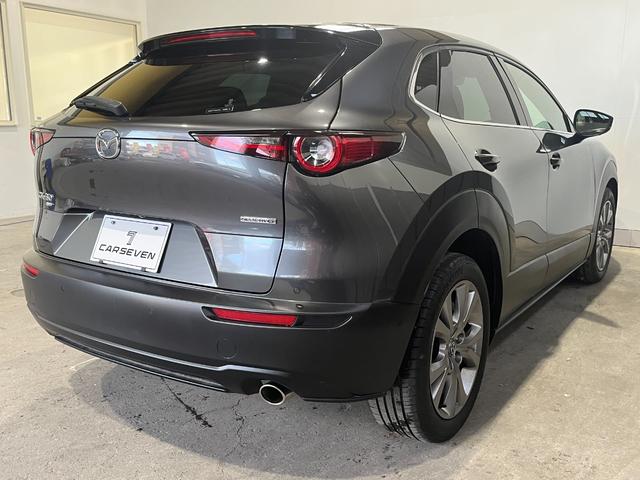 ＣＸ－３０ ２０Ｓ　プロアクティブ　ツーリングセレクション　４ＷＤ／ナビ／全方位カメラ／ＴＶ／衝突軽減／寒冷地仕様／パワーバックドア／ＨＵＤ／ドライバーモニタリング／クルージングトラフィックサポート／ＬＥＤヘッドライト／リアフォグ／パワーシート／シートヒーター（7枚目）