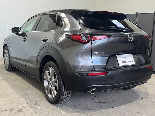 ＣＸ－３０ ２０Ｓ　プロアクティブ　ツーリングセレクション　４ＷＤ／ナビ／全方位カメラ／ＴＶ／衝突軽減／寒冷地仕様／パワーバックドア／ＨＵＤ／ドライバーモニタリング／クルージングトラフィックサポート／ＬＥＤヘッドライト／リアフォグ／パワーシート／シートヒーター（9枚目）