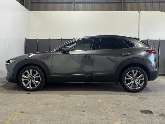 ＣＸ－３０ ２０Ｓ　プロアクティブ　ツーリングセレクション　４ＷＤ／ナビ／全方位カメラ／ＴＶ／衝突軽減／寒冷地仕様／パワーバックドア／ＨＵＤ／ドライバーモニタリング／クルージングトラフィックサポート／ＬＥＤヘッドライト／リアフォグ／パワーシート／シートヒーター（10枚目）