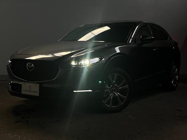 ＣＸ－３０ ２０Ｓ　プロアクティブ　ツーリングセレクション　４ＷＤ／ナビ／全方位カメラ／ＴＶ／衝突軽減／寒冷地仕様／パワーバックドア／ＨＵＤ／ドライバーモニタリング／クルージングトラフィックサポート／ＬＥＤヘッドライト／リアフォグ／パワーシート／シートヒーター（12枚目）