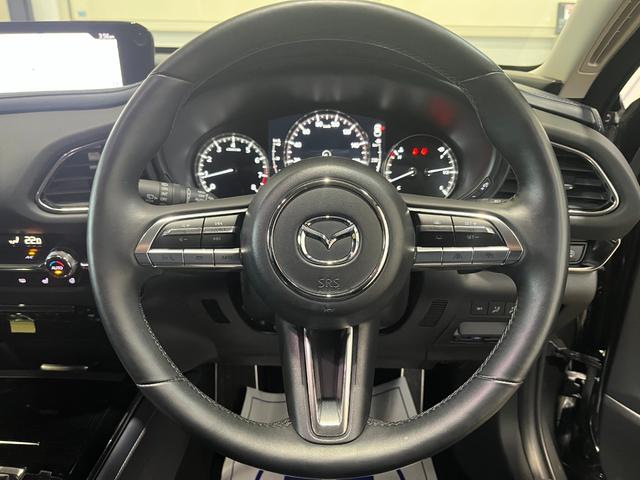 ＣＸ－３０ ２０Ｓ　プロアクティブ　ツーリングセレクション　４ＷＤ／ナビ／全方位カメラ／ＴＶ／衝突軽減／寒冷地仕様／パワーバックドア／ＨＵＤ／ドライバーモニタリング／クルージングトラフィックサポート／ＬＥＤヘッドライト／リアフォグ／パワーシート／シートヒーター（15枚目）