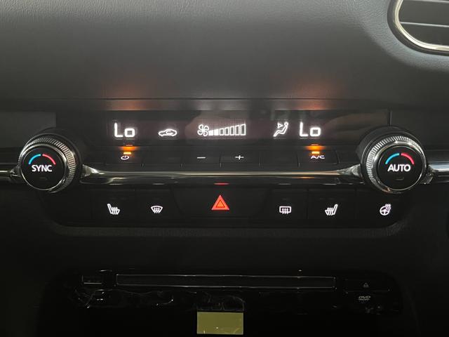 ＣＸ－３０ ２０Ｓ　プロアクティブ　ツーリングセレクション　４ＷＤ／ナビ／全方位カメラ／ＴＶ／衝突軽減／寒冷地仕様／パワーバックドア／ＨＵＤ／ドライバーモニタリング／クルージングトラフィックサポート／ＬＥＤヘッドライト／リアフォグ／パワーシート／シートヒーター（28枚目）